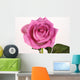 Rose with droplets Wall Mural