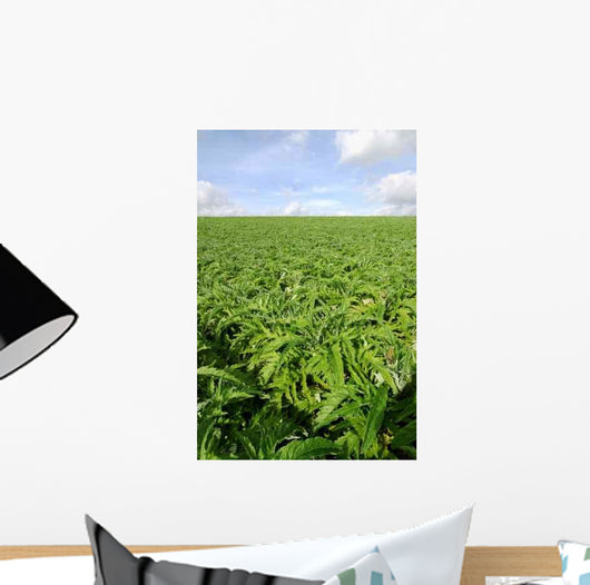 Cultivated Field Artichokes Wall Decal