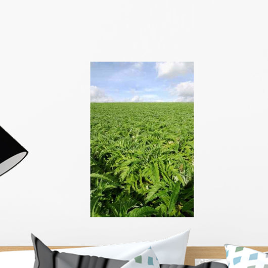 Cultivated Field Artichokes Wall Decal