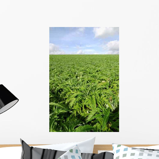 Cultivated Field Artichokes Wall Decal