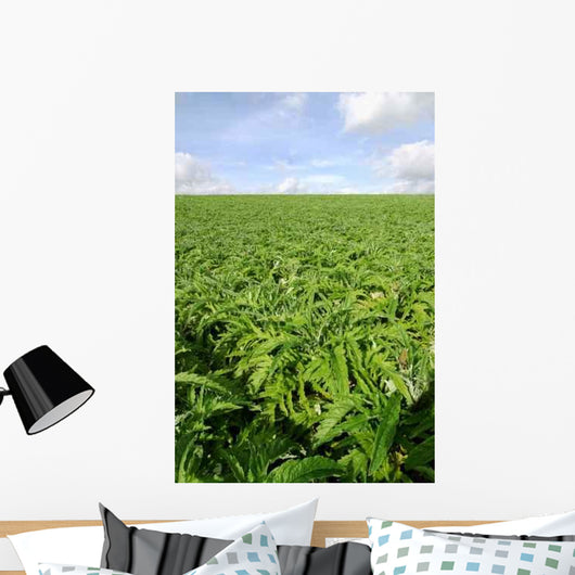 Cultivated Field Artichokes Wall Decal