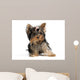 Pet Wall Decal