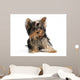 Pet Wall Decal