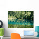 Panda Lake Jiuzhaigou Valley Wall Decal