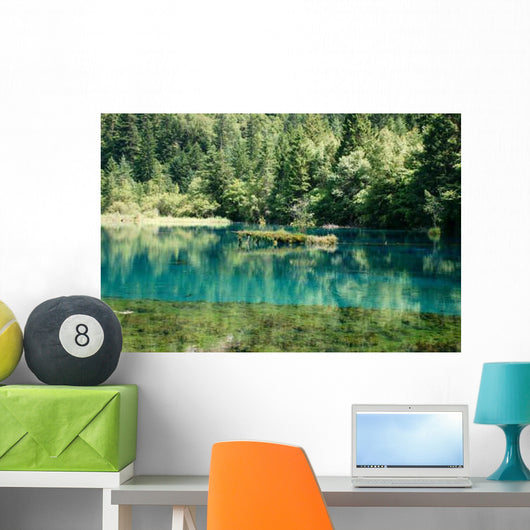 Panda Lake Jiuzhaigou Valley Wall Decal