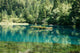 Panda Lake Jiuzhaigou Valley Wall Decal