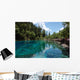 Five Flower Lake Jiuzhaigou Wall Decal