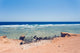 Red Sea Coastline Egypt Wall Decal Design 1