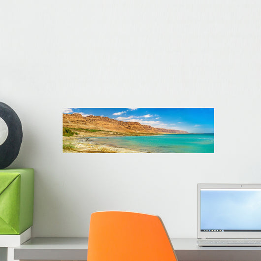 Dead Sea Coastline Wall Decal