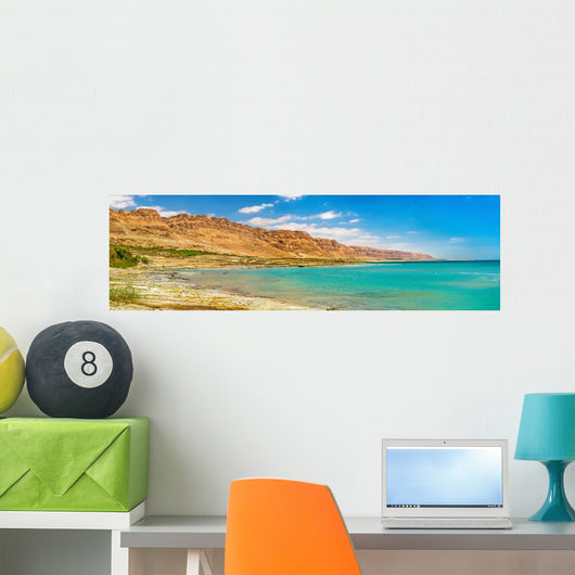 Dead Sea Coastline Wall Decal