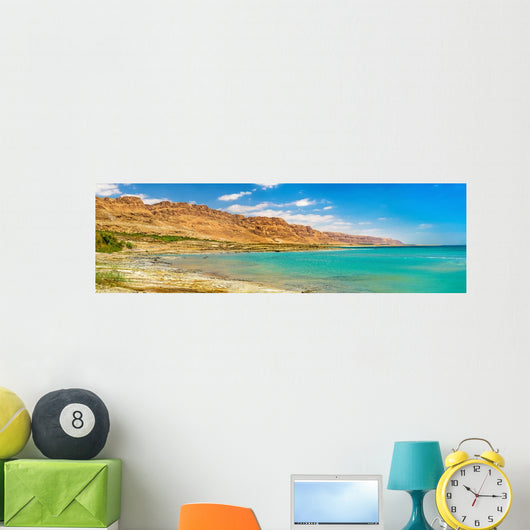 Dead Sea Coastline Wall Decal