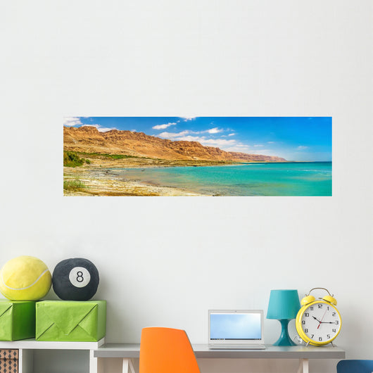 Dead Sea Coastline Wall Decal