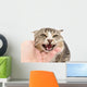 hand stroking a cat on a white background Wall Decal