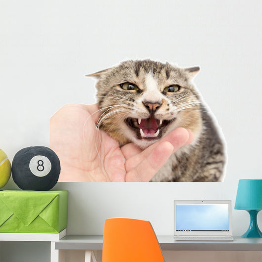 hand stroking a cat on a white background Wall Decal