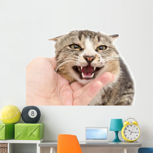 hand stroking a cat on a white background Wall Decal