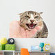 hand stroking a cat on a white background Wall Decal