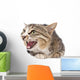 Pretty Kitty Cat Wall Decal