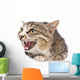 Pretty Kitty Cat Wall Decal