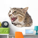 Pretty Kitty Cat Wall Decal