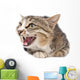 Pretty Kitty Cat Wall Decal
