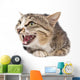Pretty Kitty Cat Wall Decal