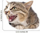 Pretty Kitty Cat Wall Decal