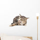 Cat portrait on a white background Wall Decal