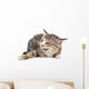 Cat portrait on a white background Wall Decal