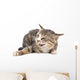 Cat portrait on a white background Wall Decal