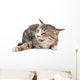 Cat portrait on a white background Wall Decal