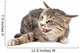 Cat portrait on a white background Wall Decal