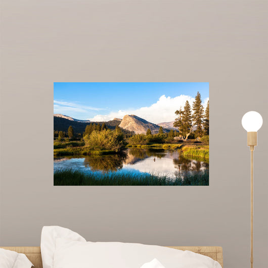 Tuolumne Meadows, Yosemite National Park, California Wall Mural