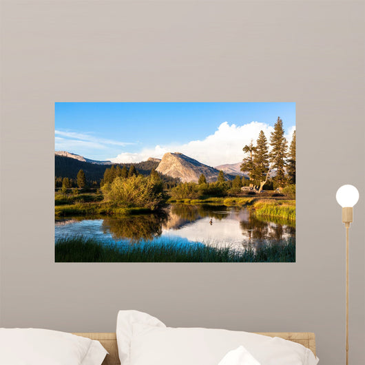 Tuolumne Meadows, Yosemite National Park, California Wall Mural