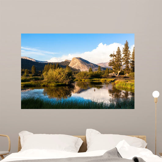 Tuolumne Meadows, Yosemite National Park, California Wall Mural
