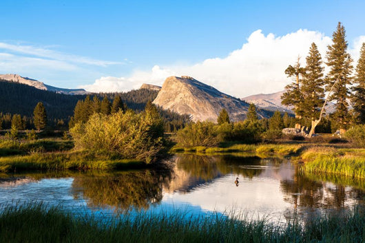 Tuolumne Meadows, Yosemite National Park, California Wall Mural