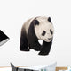 Giant Panda 18 Months - Ailuropoda Melanoleuca Wall Decal