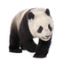 Giant Panda 18 Months - Ailuropoda Melanoleuca Wall Decal