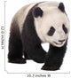 Giant Panda 18 Months - Ailuropoda Melanoleuca Wall Decal
