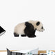 Little Giant Panda Wall Decal