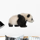 Little Giant Panda Wall Decal