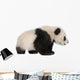 Little Giant Panda Wall Decal