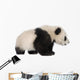 Little Giant Panda Wall Decal
