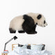 Little Giant Panda Wall Decal