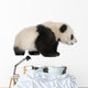 Little Giant Panda Wall Decal