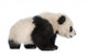 Little Giant Panda Wall Decal