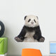 Giant Panda 6 Months - Ailuropoda Melanoleuca Wall Decal