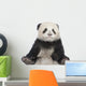 Giant Panda 6 Months - Ailuropoda Melanoleuca Wall Decal