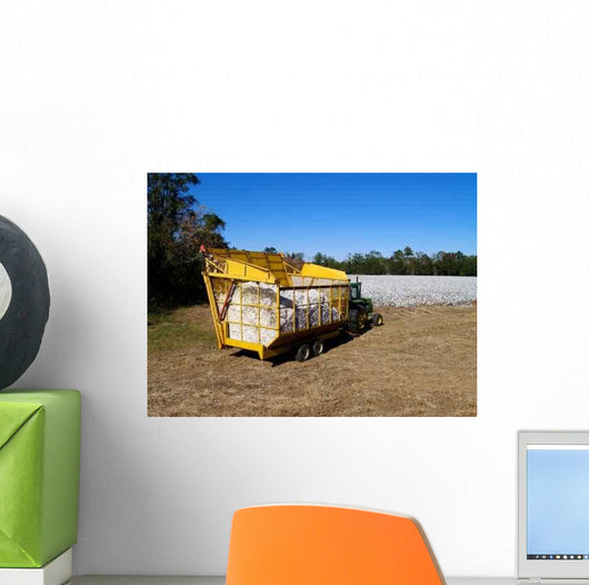 Boll Buggy Wall Decal