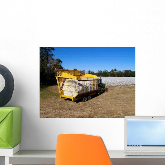 Boll Buggy Wall Decal