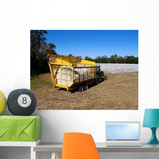 Boll Buggy Wall Decal